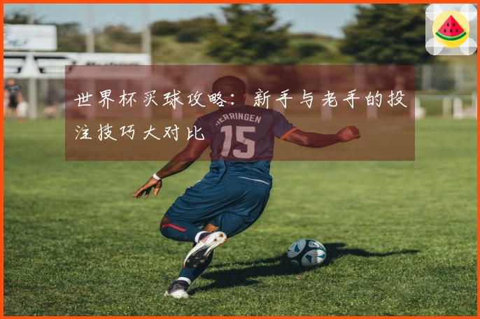 世界杯买球攻略：新手与老手的投注技巧大对比