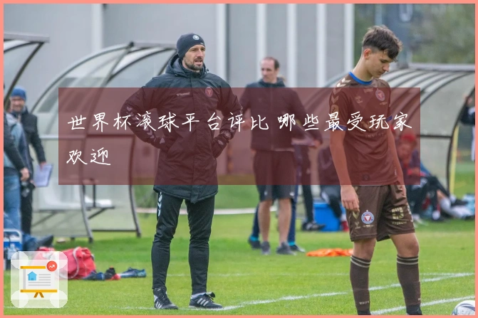 世界杯滚球平台评比 哪些最受玩家欢迎